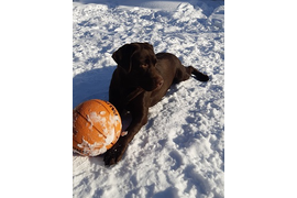 ХАННИ Февраль 2022