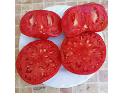 Томат Розовый гигант м-ра Андервуда (Mr. Underwood's Pink German Giant)