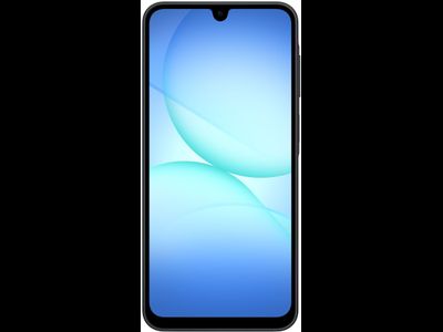 Samsung Galaxy A17 4/128GB RU A175 Черный