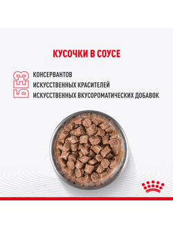 Royal Canin (Роял Канин) Kitten Sterilised Влажный корм (пауч) для кастрированных и стерилизованных котят, кусочки в соусе, 85 г