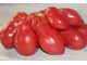 Новозеландская груша (New Zealand Pink Pear)