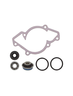 Ремкомплекты помпы охлаждения для снегоходов