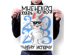 Плакат год Кролика №27