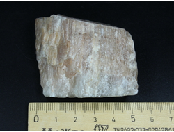 Беломорит (плагиоклаз), необработанный "дикий" образец, Карелия (66*56*28 мм, 98 г) №26371