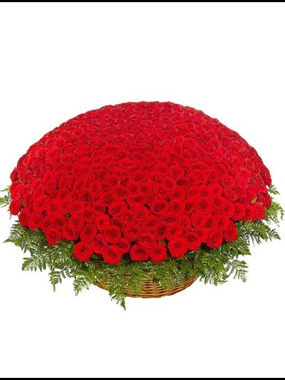 501 красная роза в корзине