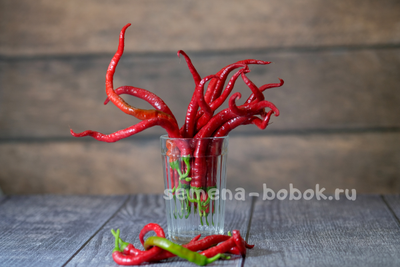 Перец острый Kil Biber, 10 шт