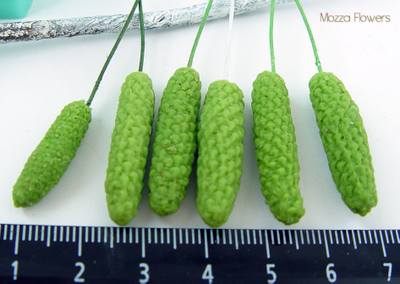 "Березовые бруньки" Силиконовый молд