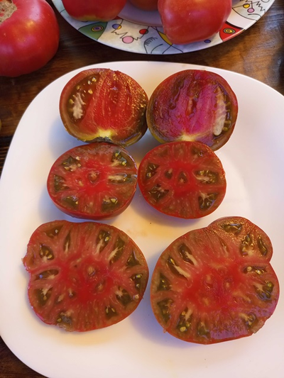 Томат Париж (Paris)