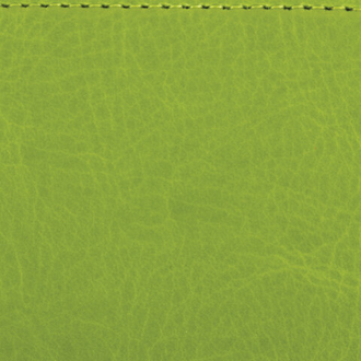 Ежедневник недатированный А5 (138x213 мм) BRAUBERG "Rainbow", кожзам, 136 л., зеленый, 111669