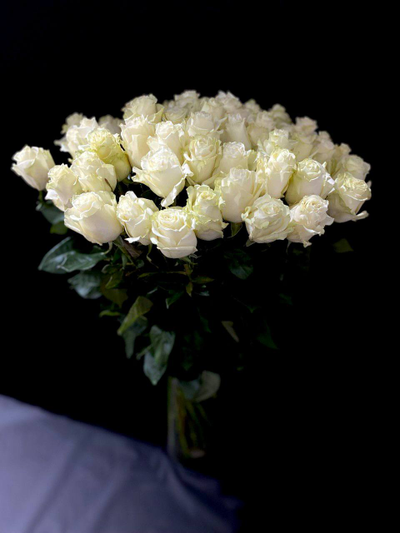 Роза Эквадор белая Мондиаль 60 см. 51 шт