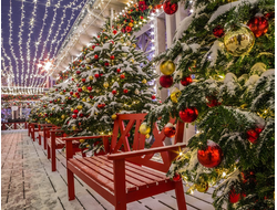 03 - 06.01.25г. Москва "Праздничная Москва + ледовое шоу Татьяны Навки "Щелкунчик"