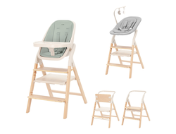Стульчик для кормления 4в1 Carrello Ergo CRL-16701 Elora Green