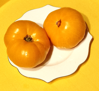 Семена томата Желтая гора Бэрна