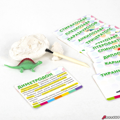 Набор для раскопок 12 видов динозавров, карточки, инструменты, развивающий, BRAUBERG KIDS. 664923