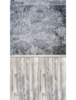 Фотофон «Райн»