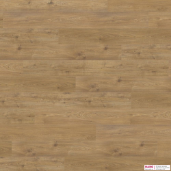 Декор ламината Haro Дуб Сицилия Белый 537377 фронт