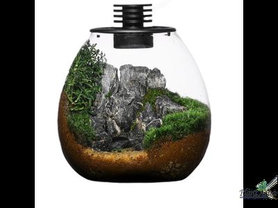 Биобутылка Biolark LED PD 170 (175мм х 195мм)