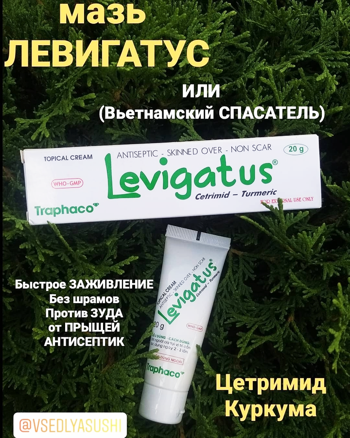 Мазь LEVIGATUS из Вьетнама 20 г