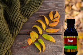 Бальзамлайф Звезда Balsamlife star от Пастушенкова Алексея