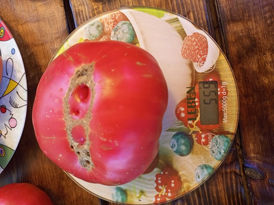 Томат Сладкая свекла (Dulcea de Fagaras), Италия