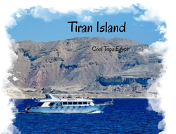 Sea trip near Tiran Island (with the possibility of diving for beginners)