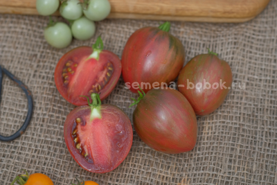 Томат Dwarf Grail (Гном Грааль), 10 шт