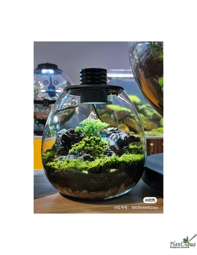 Биобутылка Biolark LED PD 170 (175мм х 195мм)