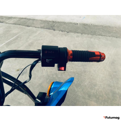 Электроскутер Трицикл пассажирский GreenCamel Пони Рикша