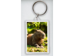 Брелок акриловый Капибара, Kapibara-san №16