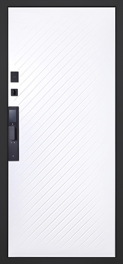 Стальная дверь   Vertu (биометрический замок)