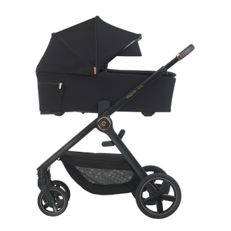 Коляска 2в1 Espiro Only 2024 310 Stylish Black