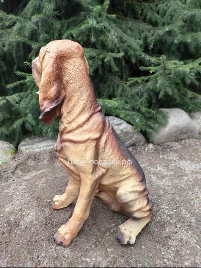 БЛАДХАУНД 59*32см  4,1кг  полистоун Россия 4397/016722*