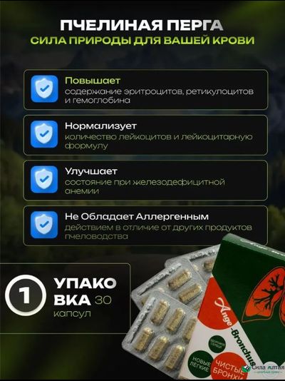 Анге-Бронхус чистые бронхи, новые легкие