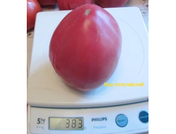 Томат Яша югославский (Yasha Yugoslavian)