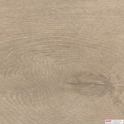 Ламинат Haro Tritty 200 Aqua Дуб Венето Кремовый 541560 33 класс толщина 8 мм с фаской 1.98 м2