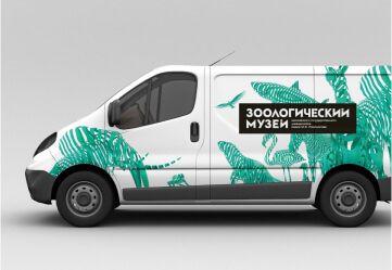 автовинил