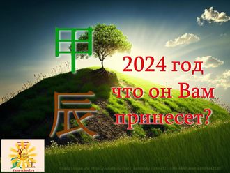 Прогноз Ба Цзы на 2024 год - Деревянного Дракона