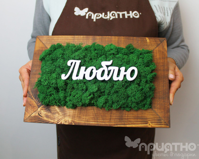 ЖИВАЯ ЭКО-КАРТИНА 1047