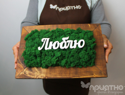 ЖИВАЯ ЭКО-КАРТИНА 1047