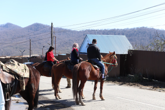 Конные прогулки в Сочи