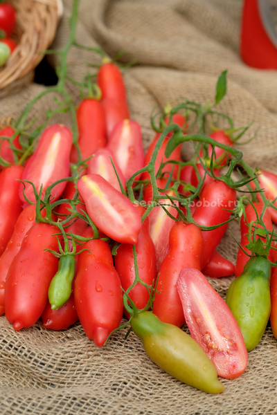 Томат Butalina di Castellamonte  (Бутылочный из Кастелламонте), 10 шт