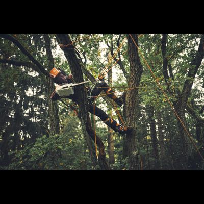 Аккумуляторная пила Stihl MSA 190 T