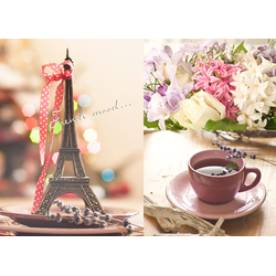 D0260 Французское настроение