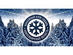 Для младенцев ХК СИБИРЬ