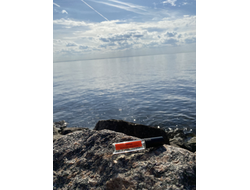 Духи АККОРД: МУЖСКАЯ НЕЖНОСТЬ, 5.5 мл