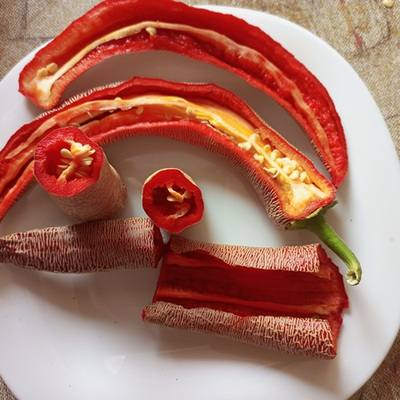 Перец острый Элефант (Elephant pepper)