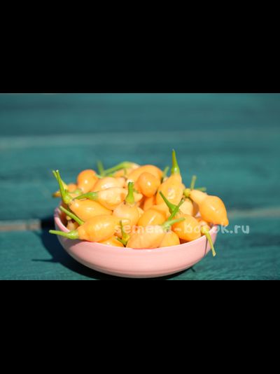 Перец острый Cabacinha Laranja, 10 шт