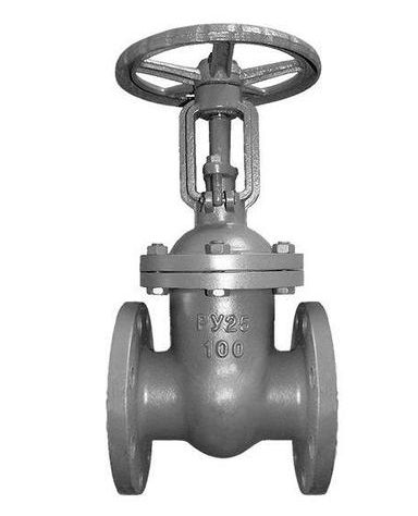 Задвижка 30с64нж Ру25