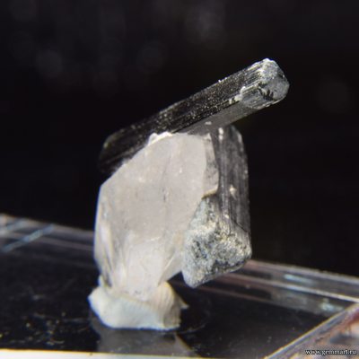 Турмалин на кварце. Пакистан. 31*18*14мм