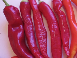 Перец острый Бочковой